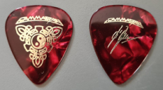 Kai Hansen Gitarren Plektrum (rot)